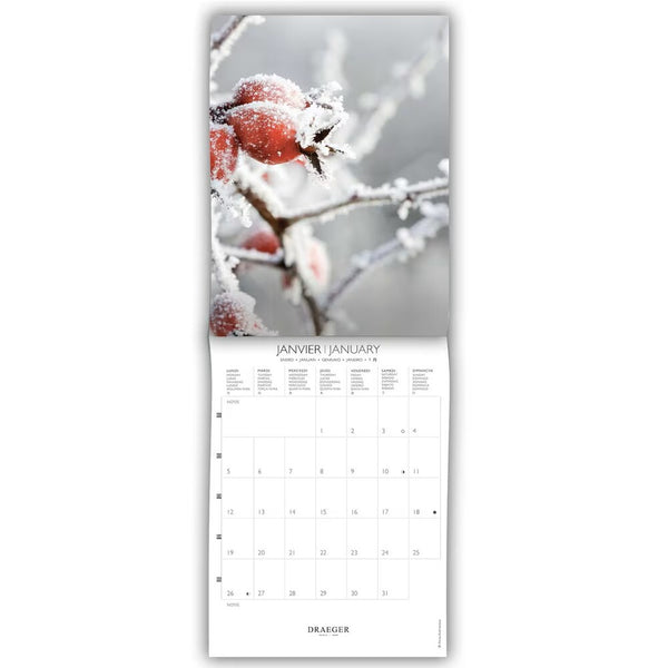 calendario 2026 jardines tamaño pequeño