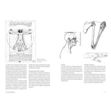 Anatomía artística (1)