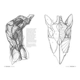 Anatomía artística (3)