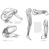 Anatomía artística (4)