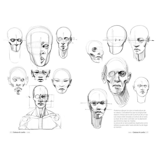 Anatomía artística 2: Cómo dibujar el cuerpo humano de forma esquemática (1)