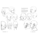 Anatomía artística 4: Grasas y pliegues de la piel (2)
