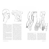 Anatomía artística 7: Cuerpos musculados (2)