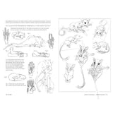 Anatomía artística 9, Mamíferos: morfología comparada (4)