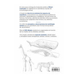 Anatomía artística 9, Mamíferos: morfología comparada (5)