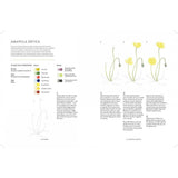 Aves, abejas y flores: Guía paso a paso para pintar plantas y animales con acuarela (3)