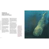 Gouache: Un manual para principiantes y profesionales (3)