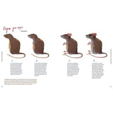 Gouache: Un manual para principiantes y profesionales (4)