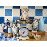 Gatitos en la cocina 1500 pc