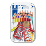 lápices de colores 36 unidades staedtler