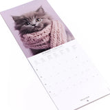 Calendario 2027 Pequeño Gatos Draeger