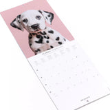 Calendario 2027 Pequeño Perros Draeger