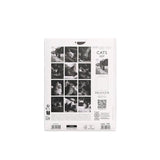 Calendario 2027 Pequeño Gatos Blanco & Negro Draeger