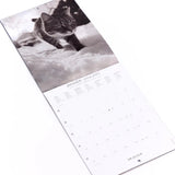Calendario 2027 Pequeño Gatos Blanco & Negro Draeger