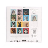 Calendario 2027 Grande Gatos Draeger