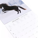 Calendario 2027 Grande Caballos Draeger