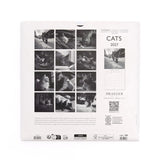 Calendario 2027 Grande Gatos Blanco & Negro Draeger