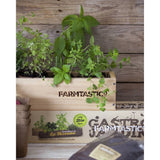 kit semillas para un huerto en la toscana farmtastico