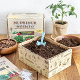 mi primer huerto rucula y rabanito farmtastico