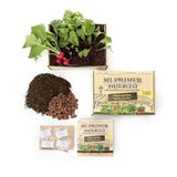 FARMTASTICO KIT MI PRIMER HUERTO