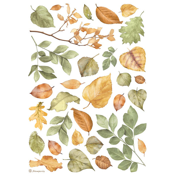 Papel de Arroz A4 Best Sellers Stamperia
