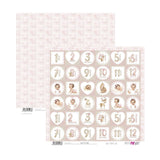 Bloc Scrapbooking 12 Hojas Sweet Baby Girl Papers For You