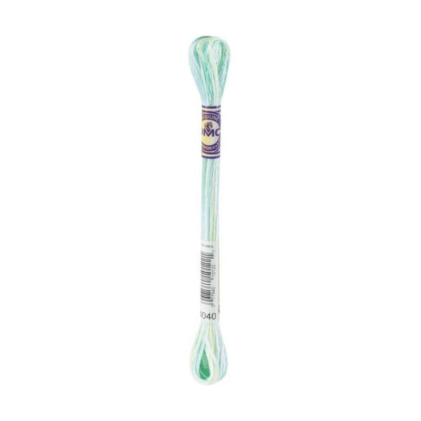 hilo mouline multicolor DMC 4040