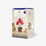 Kit Amigurumi Tiesto con Flores DMC