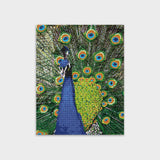 kits diamond painting peacock layers of