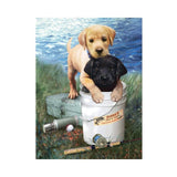 set de pintar por números perritos pescadores royal langnickel