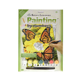 set completo pintar por numeros mariposas y flores royal langnickel