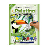 pintar por numeros diseño de un tucan en la selva royal langnickel