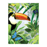 set completo lienzo de pintar por numeros tucán en la selva tropical