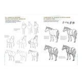 Ejercicios de dibujo de caballos para principiantes y artistas
