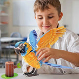 Maqueta 3D del Guacamayo Barba Azul