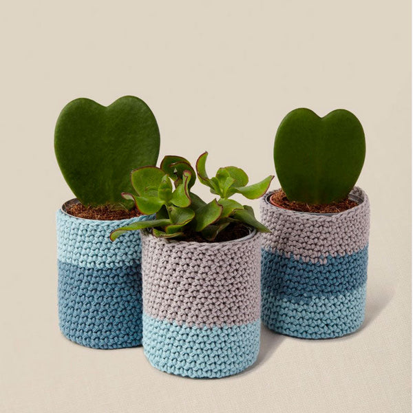 Kit Crochet Maceteros DMC (1)