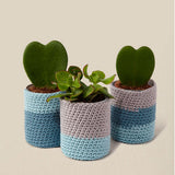Kit Crochet Maceteros DMC (1)