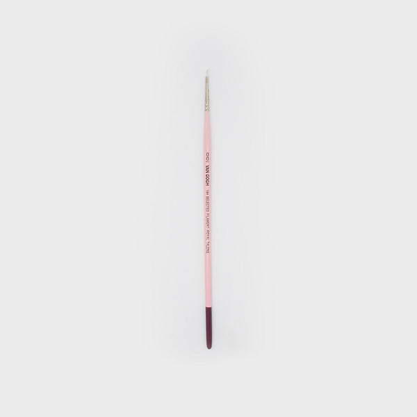 Nº00