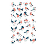 Pack Pegatinas Pajaros (1)