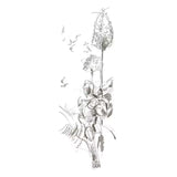 Caja 5 Lápices 9000 Jumbo Faber Castell (2)