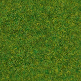 Hierba Césped Verde 20g Noch (1)