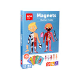 Juego Magnético El Cuerpo Humano Apli Kids (1)