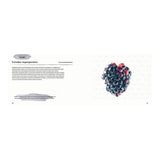 Libro Ilustración Botánica Logilibro (2)