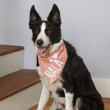 Cricut Maker 3 + EasyPress 3 + Vinilos (14)