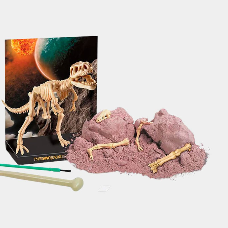 Maqueta Esqueleto Tiranosaurio Rex (2)