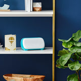 Cricut Joy + Curso Iniciación de Regalo (12)