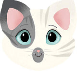 Memory 'Gatos y Expresiones' Avenue Mandarine (1)