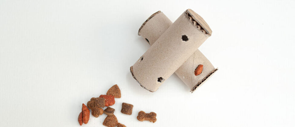 Juguetes para mascotas con materiales reciclados