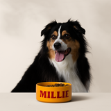 Cricut Joy Xtra Lavender Bundle