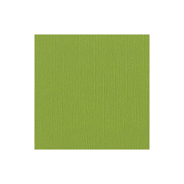 cartulina texturizada papel bazill verde periquito